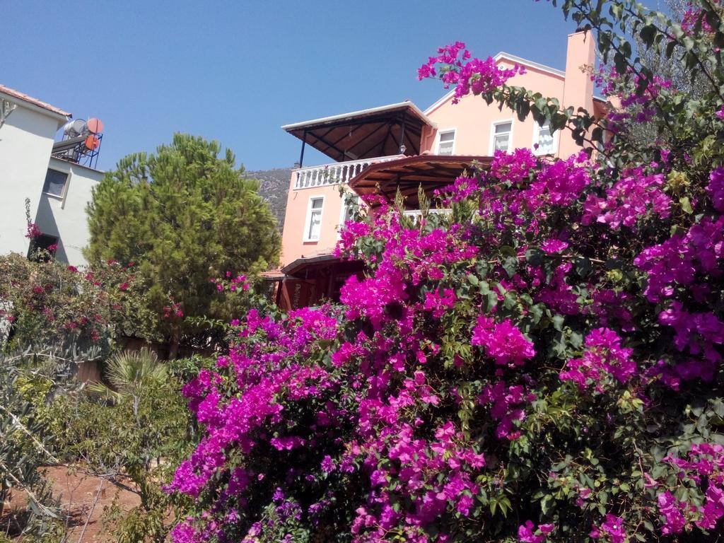 Villa Koknar Pension Kaş Pokoj fotografie