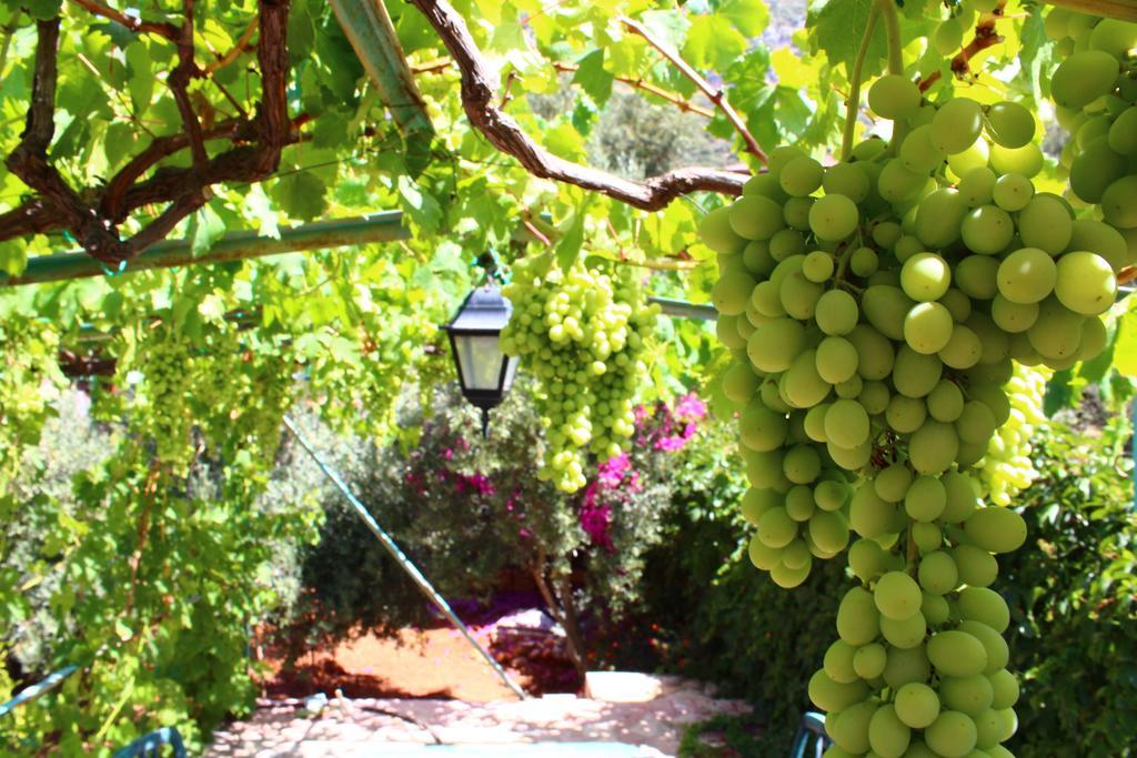 Villa Koknar Pension Kaş Exteriér fotografie