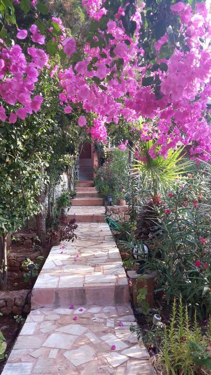 Villa Koknar Pension Kaş Exteriér fotografie